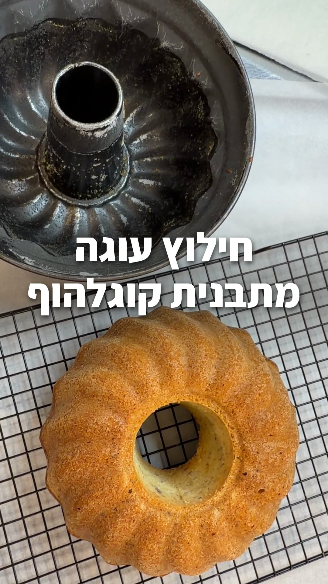 זמן לסייב! איך מחלצים עוגה מתבנית קוגלהוף בשלמות?
קוראים לזה שימון כפול.
שכבה ראשונה של חמאה (ספריי או חמאה מומסת).
שכבה שנייה של קמח.
בכל מקום שלא יהיה קמח, העוגה תידבק.
עוברים עם המברשת על כל פינה, טופחים, ומוציאים את העודף.
וזה הסימן שאני מכינה את עוגת המייפל שלי. 
התוצאה בסוף הרילס 🩷
שמרו לפעם הבאה שתאפו בחושה, ושתפו הלאה כדי שגם החברים שלכם ילמדו את הטריק
#אפייה #בחושה